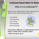 plant watering; overwatering; underwatering