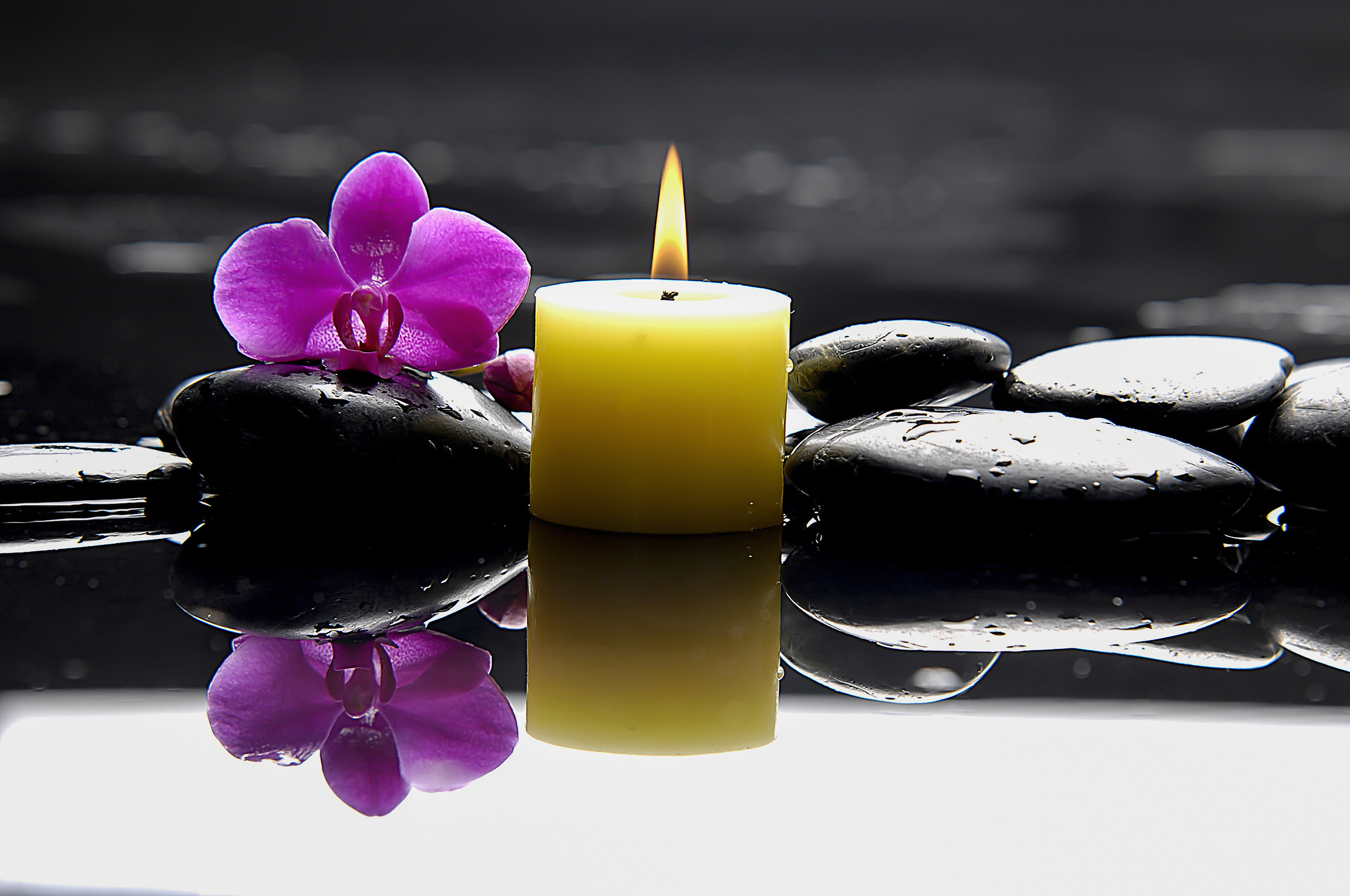 burning yellow candle with purple orchid on black rocks and water