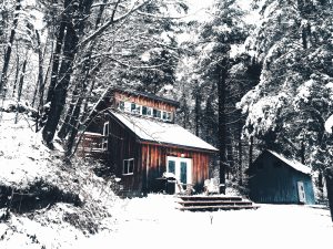 image of a rustic house surrounded by woods and snow #vss365 #prompts