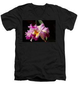 Nancy Wyatt's Best Cattleya on t-shirt for #vss365