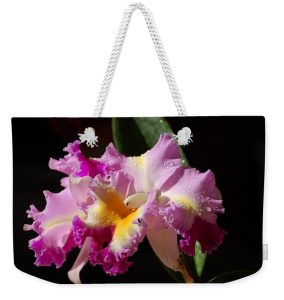 Nancy Wyatt's Best Cattleya weekender tote bag for #vss365