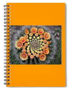https://pixels.com/featured/cactus-mandala-nancy-ayanna-wyatt.html?product=spiral-notebook