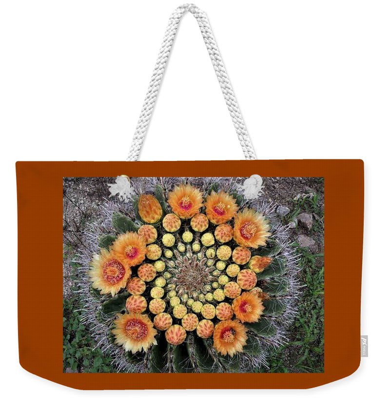 Cactus Mandala weekender tote bag from Nancy's Novelty Photos on Pixels