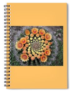 cactus mandala spiral notebook for #vss365