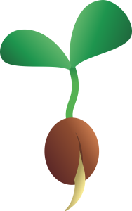 Illustration of a seed breaking through its outer shell and starting to grow leaves and roots.
