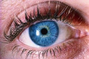 close-up of blue eye with dark lashes used for Seasonal Poems